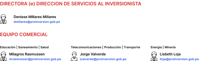 Equipo Comercial DSI ProInversion