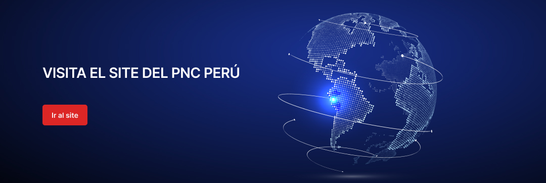 PUNTO NACIONAL DE CONTACTO PARA LA CONDUCTA EMPRESARIAL RESPONSABLE - PERÚ