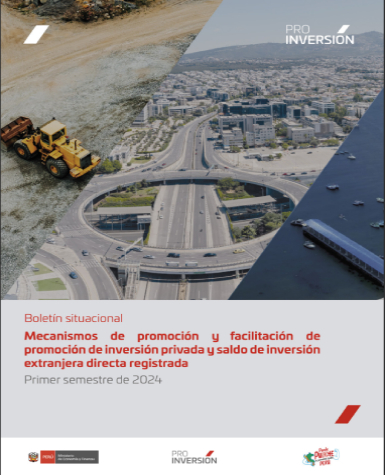 Boletin Situacional Primer Semestre 2024