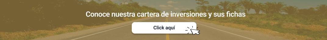 Cartera de Inversiones y Fichas Obras por Impuestos 