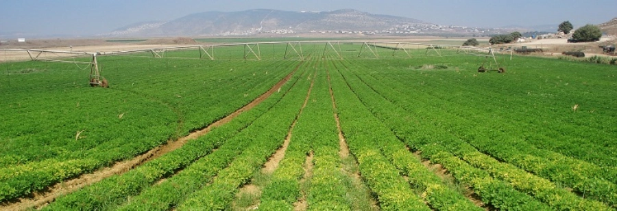 05022021 majes referencial out