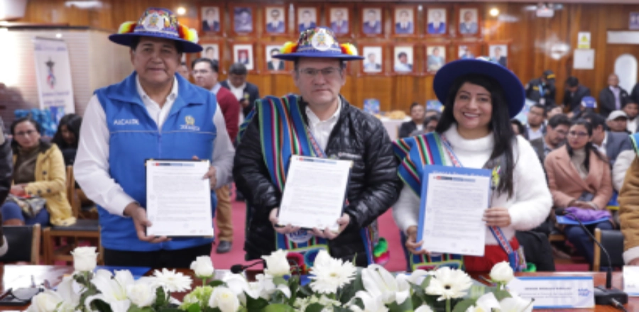 presupuesto puno oxi min