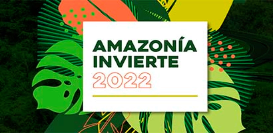 amazoniainviertemin