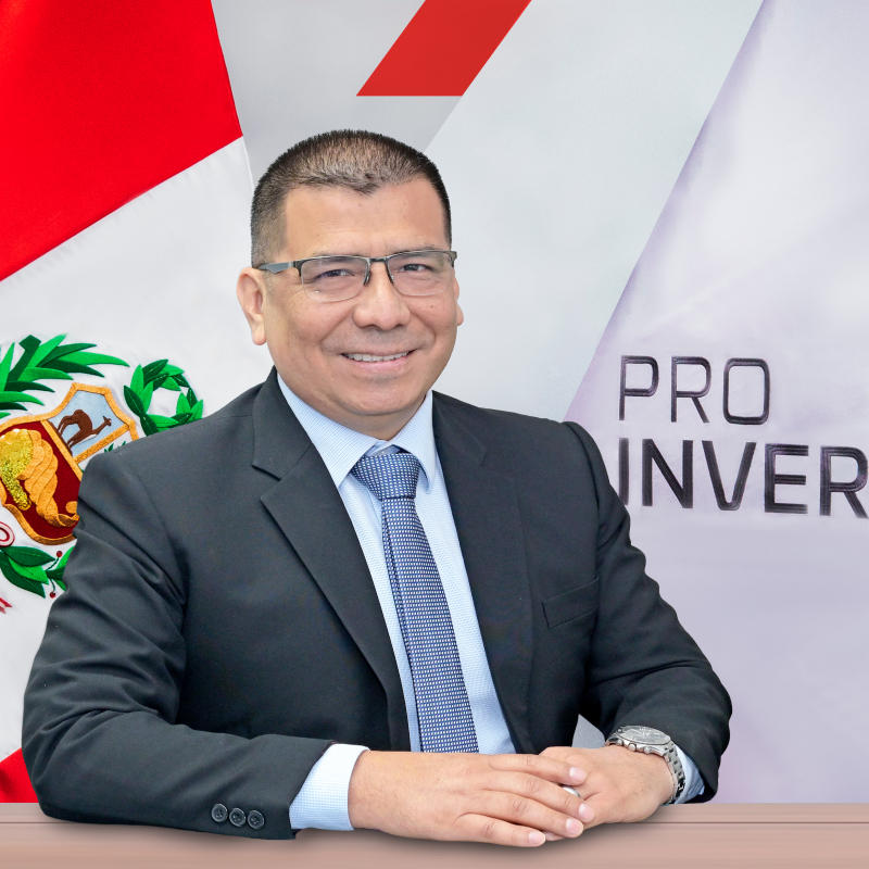 yaco rosas proinversion