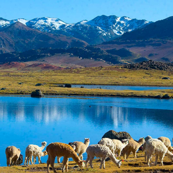 gore huancavelica[1]