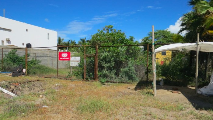 lote 51